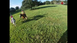 Brave and calm horse heroically saves her friends from a herd of pesky cows