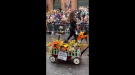 Dozens of dogs cheered as they parade NYC street donning Halloween wear