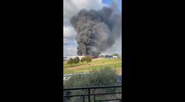 When Nothing Can Distract You From Playing Golf