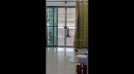 Smooth operator! Pet cat leaps onto patio door to make it glide open
