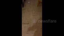 Resident films from their balcony as 'catastrophic' Hurricane Otis makes landfall in Mexico