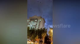 Hundreds of black birds swarm over city streets and fly around in circles in China