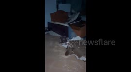 Hurricane Otis: Hotel significantly damaged as winds of 165mph batter Acapulco
