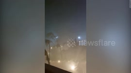 Video shows strong winds and palm trees swaying as Hurricane Otis makes landfall