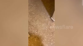Video shows hotel customer using mattress to protect room during Hurricane Otis