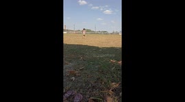 Bird Swoops Down on Girls Playing in Park