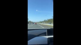 These Kangaroos Are Going Places
