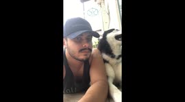 What Did You Say Human?
