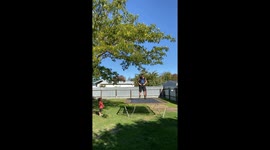 Should Have Stopped After the Fourth Backflip