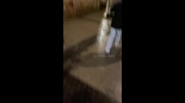 A Very Slippery Sidewalk