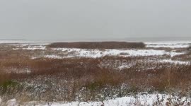 US: Montana Sees Inches Of Snow In Early Season Major Winter Storm