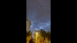 Thousands of crows fill sky in spooky scene over Inner Mongolia