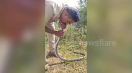 The Hiss of Life! Cop saves dying snake giving it CPR in central India