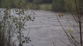 Trees snap in half as Brechin feels the full force of Storm Babet