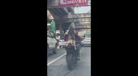 Pet Husky with his own helmet and goggles rides motorbike