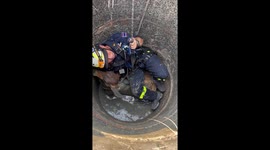 Firemen abseils into dirty well to save stranded cow