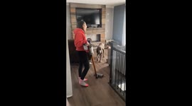 School goes wild during intense musical chairs showdown