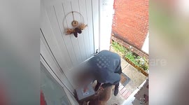 Shocking footage shows 'porch pirate' tearing open parcel with £200 of computer parts