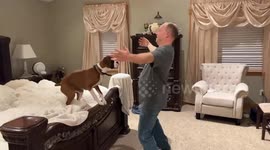 Man And Dog Reunite After Work