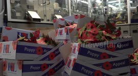 Royal British Legion's warehouse prepares for this year's Poppy Appeal in Kent, UK