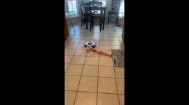 Doll Had A Rough Night
