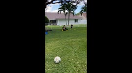 Younger Brother Gets Revenge - Tractor roll!  He was ok! lol