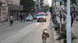 Scenes of Gaza As Palestinian Death Toll Exceeds 6500