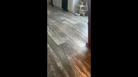 Homeowner Experiences Floating Flooring in New Home