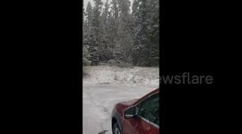 US: Snow Blankets The Cascades Amid First Snowstorm Of The Season
