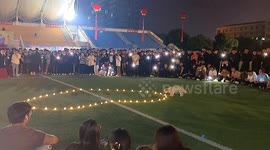 Stray dog snatches heart-shaped light during epic college love proposal