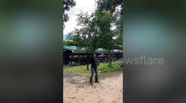 Animal science student fails at practicing herding cattle with a whip