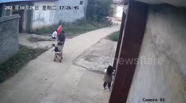 Mother catches toddler when she falls from stroller towards ground