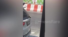 Driver holds up traffic to rescue kitten stranded on road