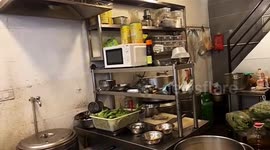 Mice captured running wild on kitchenware in Chinese noodle shop