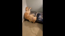 You Forgot To Pack Him