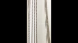 Tarantula In The Shower Vents