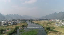 Ottelia acuminata in full bloom in China's Chengjiang River