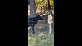 Girl feeding the hungry cow gets scared by its tongue *Hilarious Fail*
