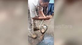 Cop saves snake's life giving it CPR in Narmadapuram, India