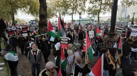 Hundreds of thousands protest march for Palestine cease fire, London, UK