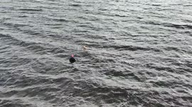 First Swimmers To Chance Lough Neagh After Exceptional Blue-Green Algae Outbreak