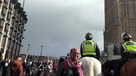 Thousands of Free Palestine protesters march through central London