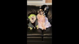 This Bride of Frankenstein definitely calls the shots in this relationship.