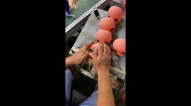 Doll Maker Places Eyes