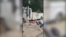 Son spends four months and £2k renovating dad's rare van - with stunning results