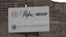 Kenyan seafood trader expects growing export to China through CIIE