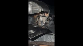 Cat's sneaky hide-and-seek game under motorbike wheel