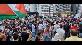 People support Palestine with massive demonstration in Sao Paulo, Brazil