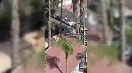 Palestinian Shot Dead After Stabbing Attack in Jerusalem, Israel