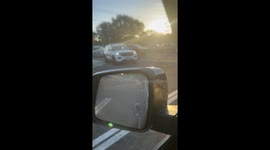 Officer Escorts Testy Turkey Off Busy Road